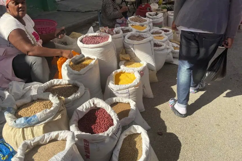 Large sacks of colorful grains and beans at the Binational Border Market