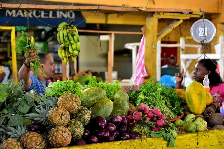 Vendor selling fresh tropical fruits and vegetables at market stall at Binational Border Market