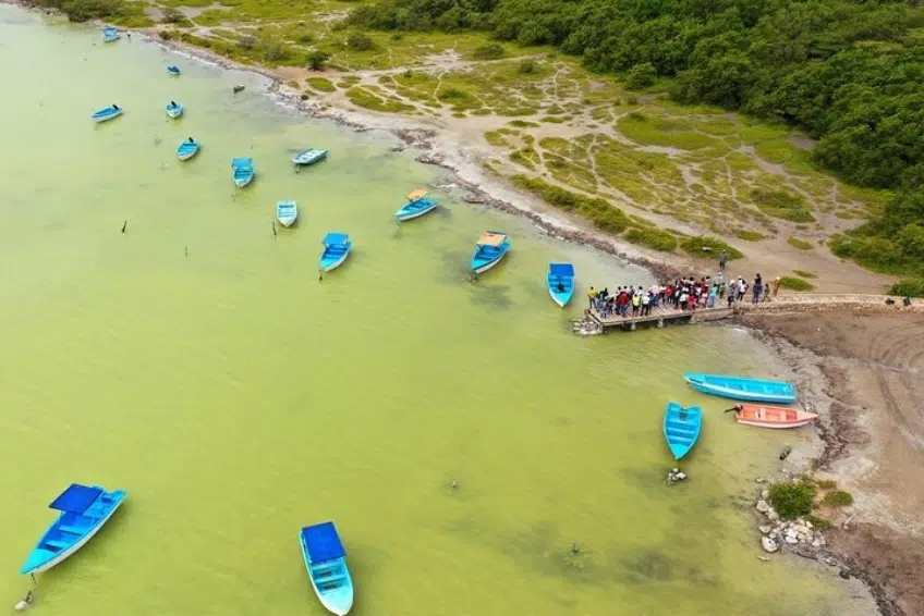 Blue tour boats and dock at Laguna de Oviedo
