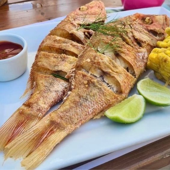 Where To Eat Laguna de Oviedo Visitors Guide