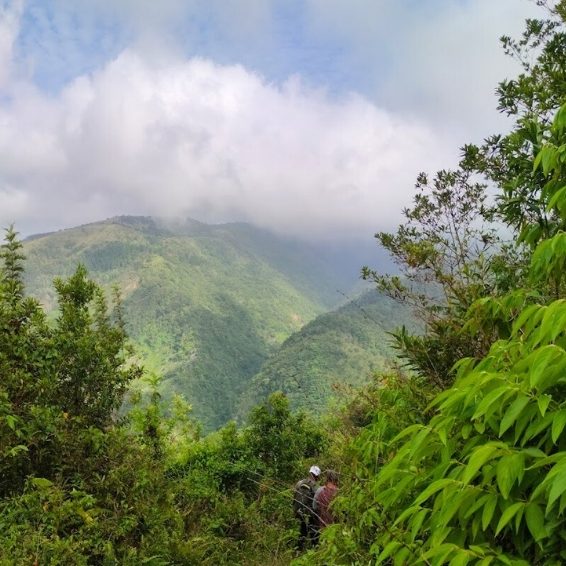 Sierra de Bahoruco National Park Visitors Guide Sierra de Bahoruco National Park Visitors Guide