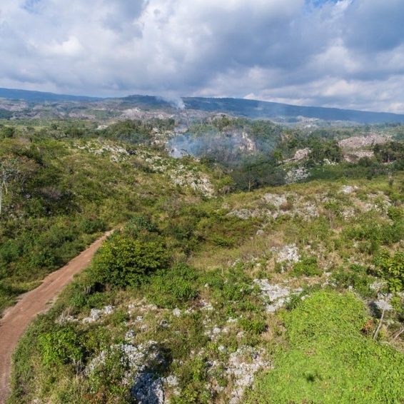 Sierra de Bahoruco National Park Visitors Guide Sierra de Bahoruco National Park Visitors Guide
