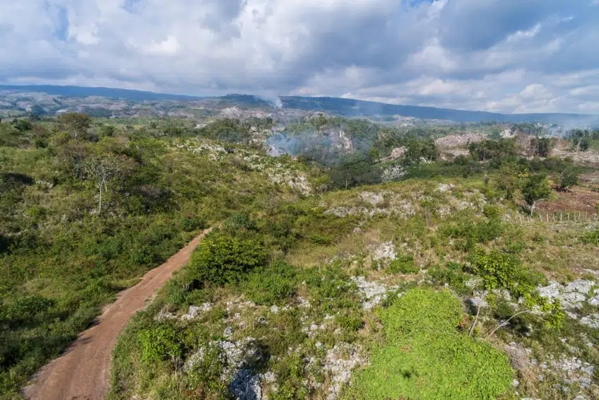 Sierra de Bahoruco National Park Visitors Guide Rocky terrain with dirt road and cloud forest of Sierra de Bahoruco National Park