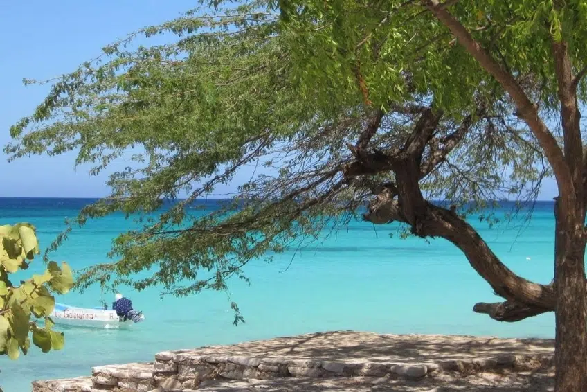 Shady tree framing small boat on turquoise water of Bahia de las Aguilas