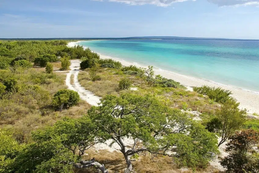 Winding dirt path through coastal forest beside turquoise waters of Bahia de las Aguilas