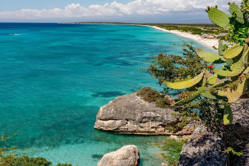 Clifftop view of Cabo Rojo coastline with turquoise water and cactus