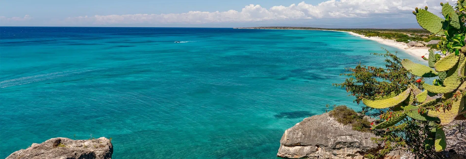 Clifftop view of Cabo Rojo coastline with turquoise water and cactus