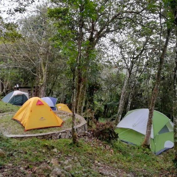 Canto del Jilguero Sierra de Bahoruco National Park Visitors Guide