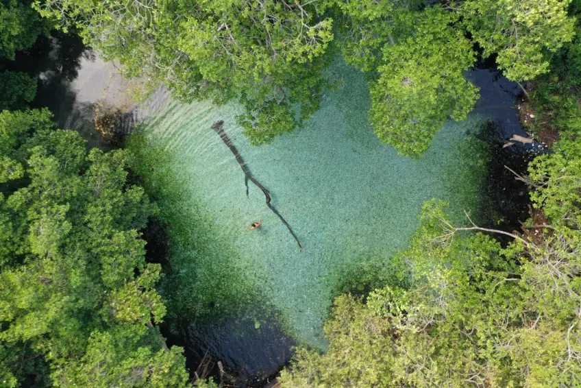Jaragua National Park Things To Do - Caves, Cenotes, and Swimming Holes