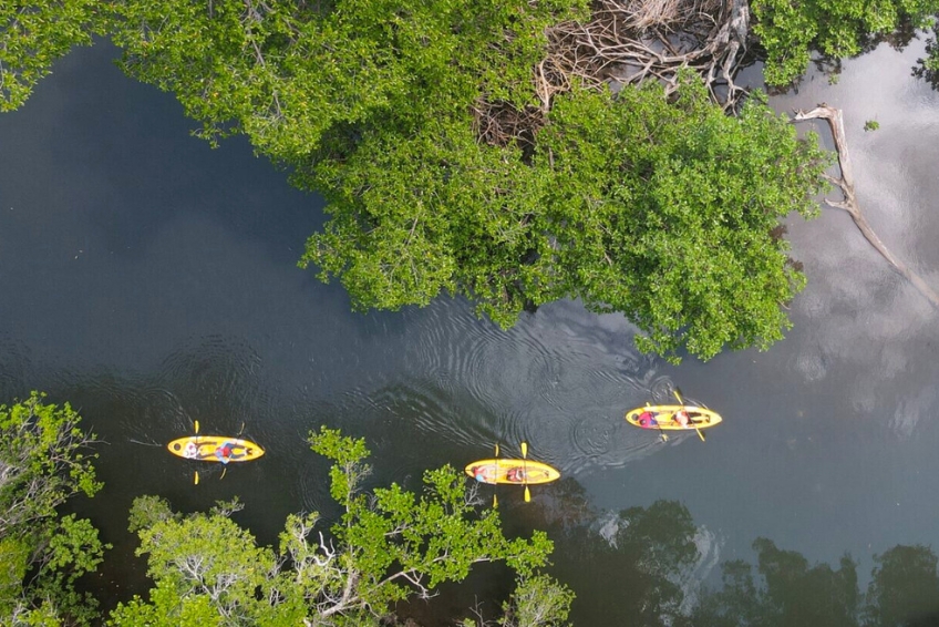 Jaragua National Park Visitors Guide