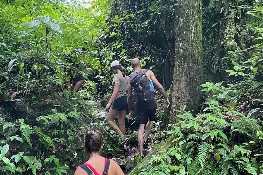 Hikers climbing steep jungle trail together to get to Cueva de la Virgen