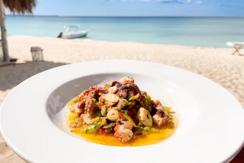 Fresh seafood dish with octopus and vegetables served beachside at Eco del Mar Beach Club