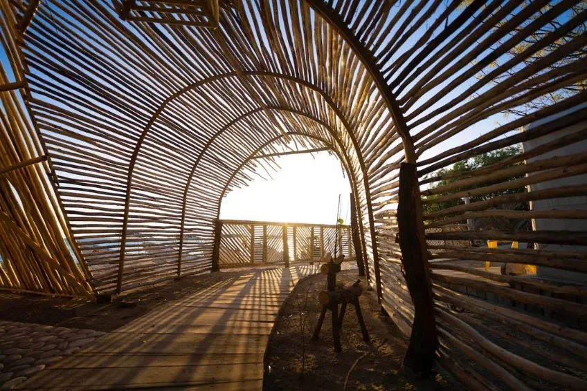 Arched bamboo tunnel pathway with sunlight shining through at EcoLodge Cueva de las Aguilas