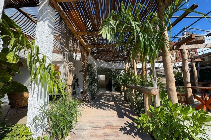Lush tropical walkway with bamboo pergola and wood deck path at Hotel Casa Bajari