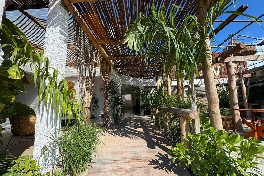Lush tropical walkway with bamboo pergola and wood deck path at Hotel Casa Bajari