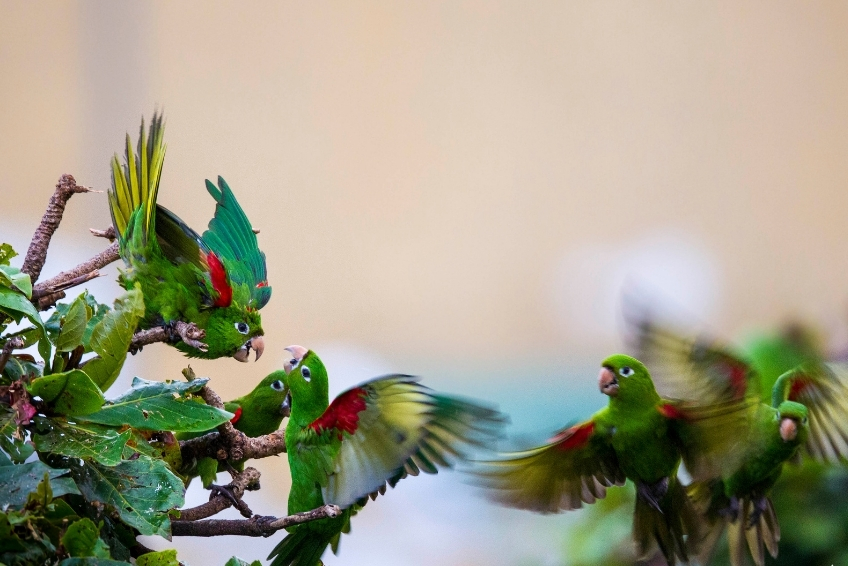 Hoyo de Pelempito Visitors Guide