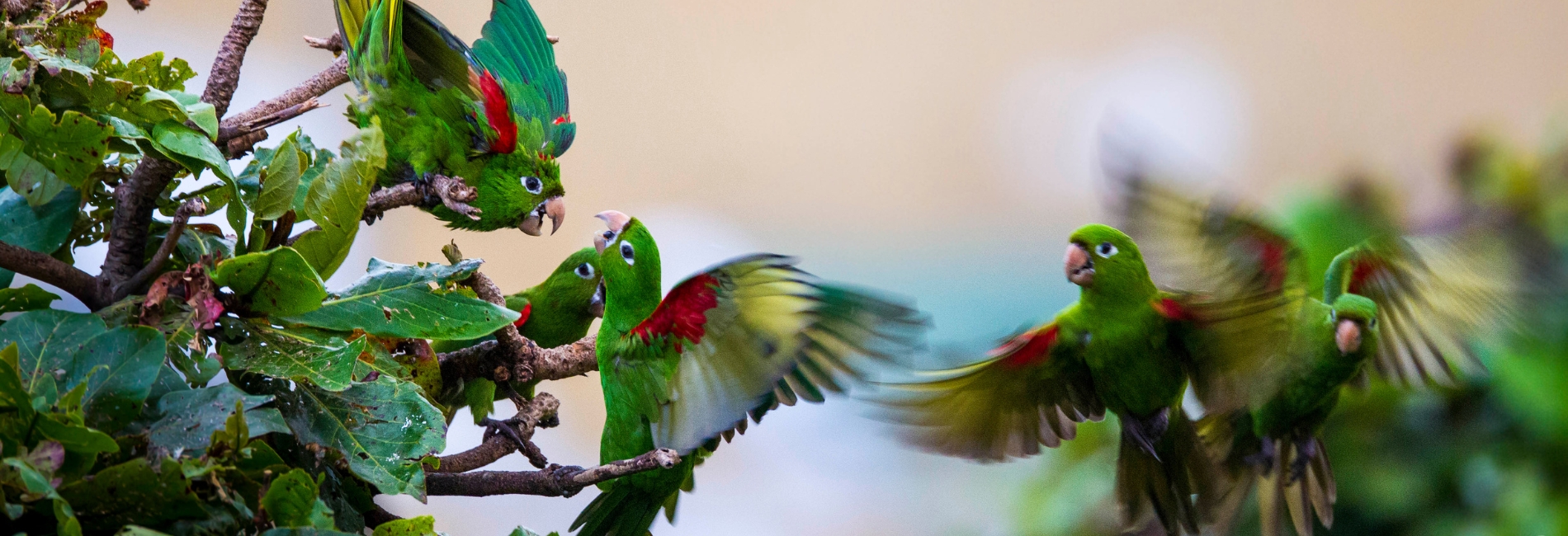 Hoyo de Pelempito Visitors Guide