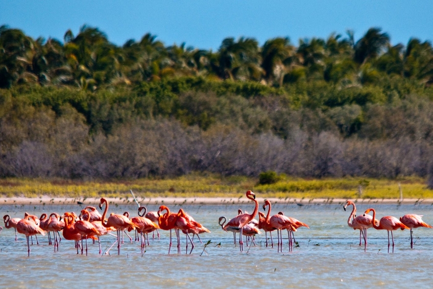 Jaragua National Park Visitors Guide