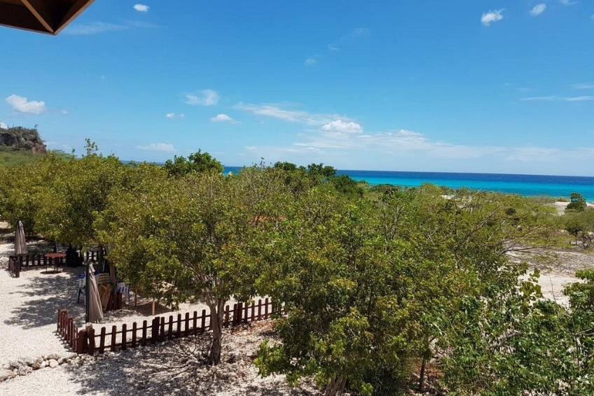 Turquoise ocean beyond lush green treetops at La Casita de La Cueva