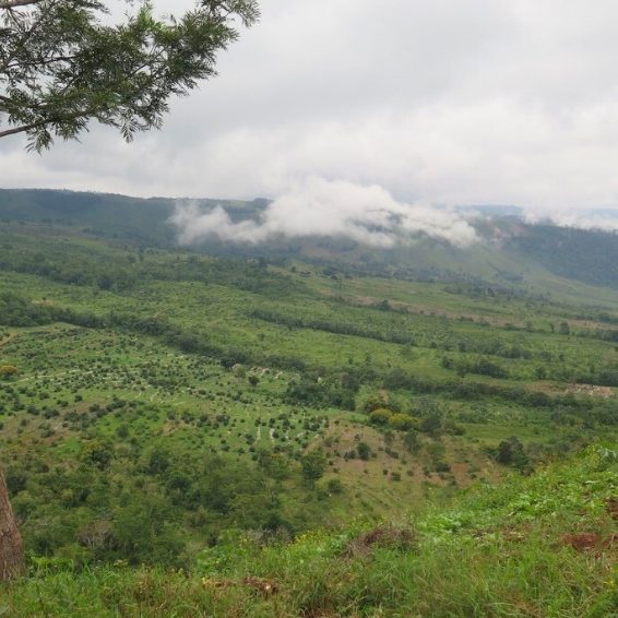 Sierra de Bahoruco National Park Visitors Guide Sierra de Bahoruco National Park Visitors Guide