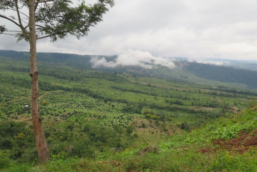 Sierra de Bahoruco National Park Visitors Guide Sierra de Bahoruco National Park Visitors Guide