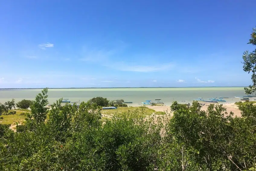Boats and mangroves along calm Laguna de Oviedo shoreline
