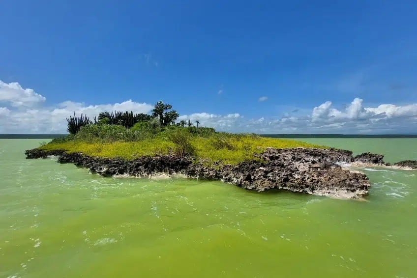 Rocky island surrounded by bright green Laguna de Oviedo water