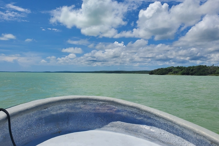 Things To Do Outside The Port - Laguna de Oviedo