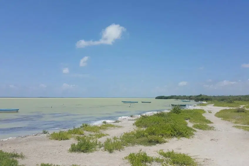 Small fishing boats dotting calm shallow lagoon shoreline at Laguna de Oviedo