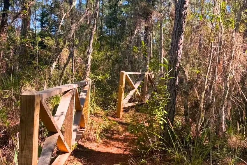 Wooden railing along a red dirt hiking trail through forest Hoyo de Pelempito