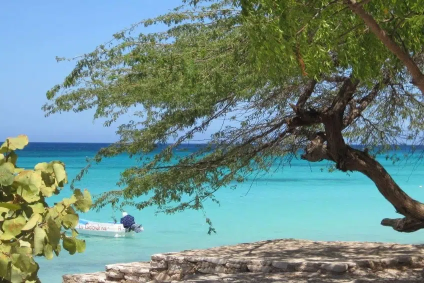 Tree framing boat on brilliant turquoise water of Bahia de las Aguilas