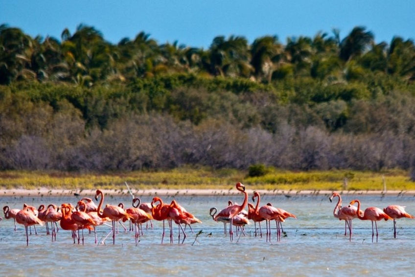 Things To Do in Sierra de Bahoruco - Nearby Attractions