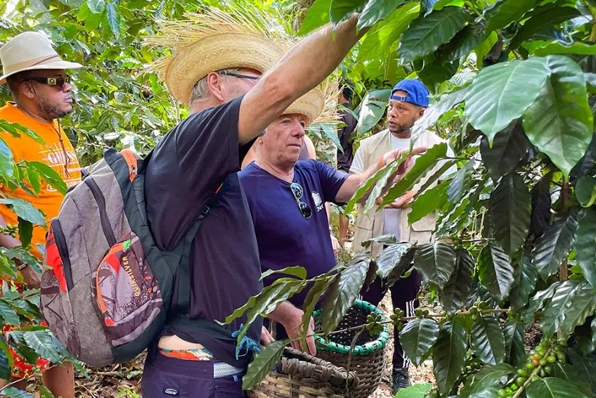 Tour guide explaining coffee plant to visiting group in plantation on Polo Coffee Tour