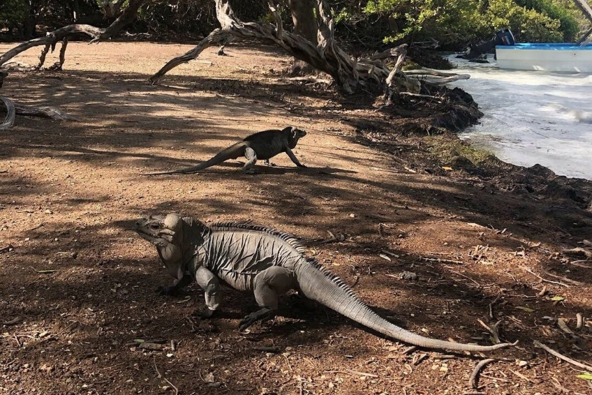 Things To Do At Hoyo de Pelempito - Wildlife Viewing