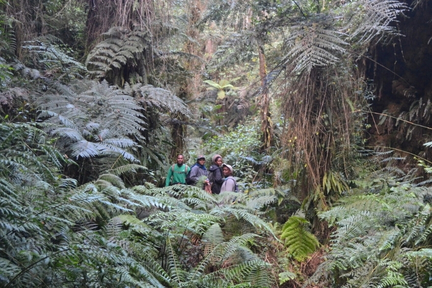 Sierra de Bahoruco National Park Visitors Guide