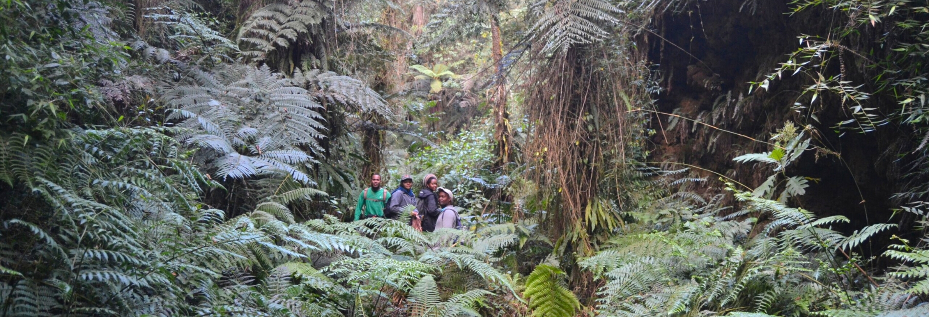 Sierra de Bahoruco National Park Visitors Guide