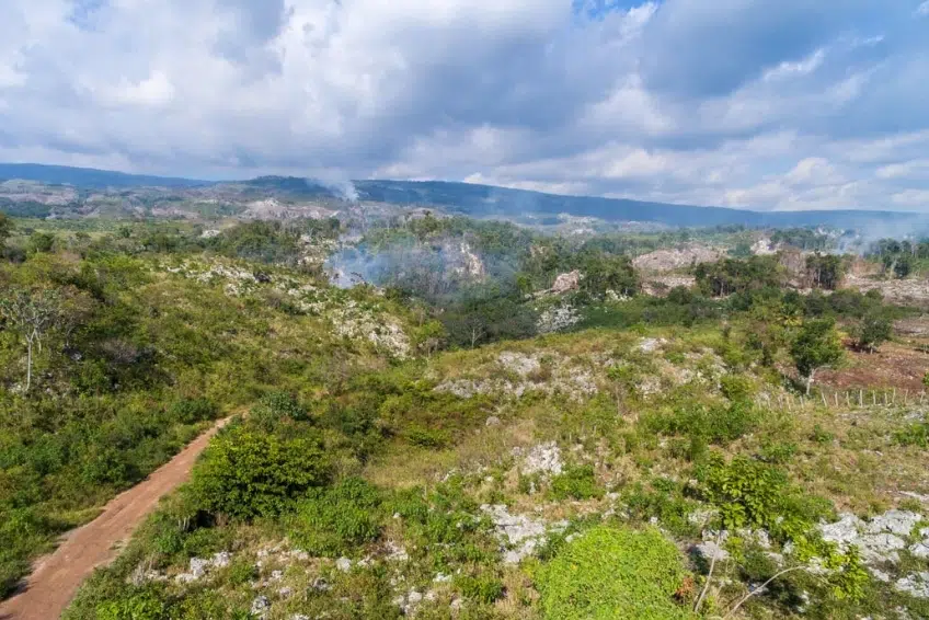 Rocky terrain with dirt road and cloud forest of Sierra de Bahoruco National Park