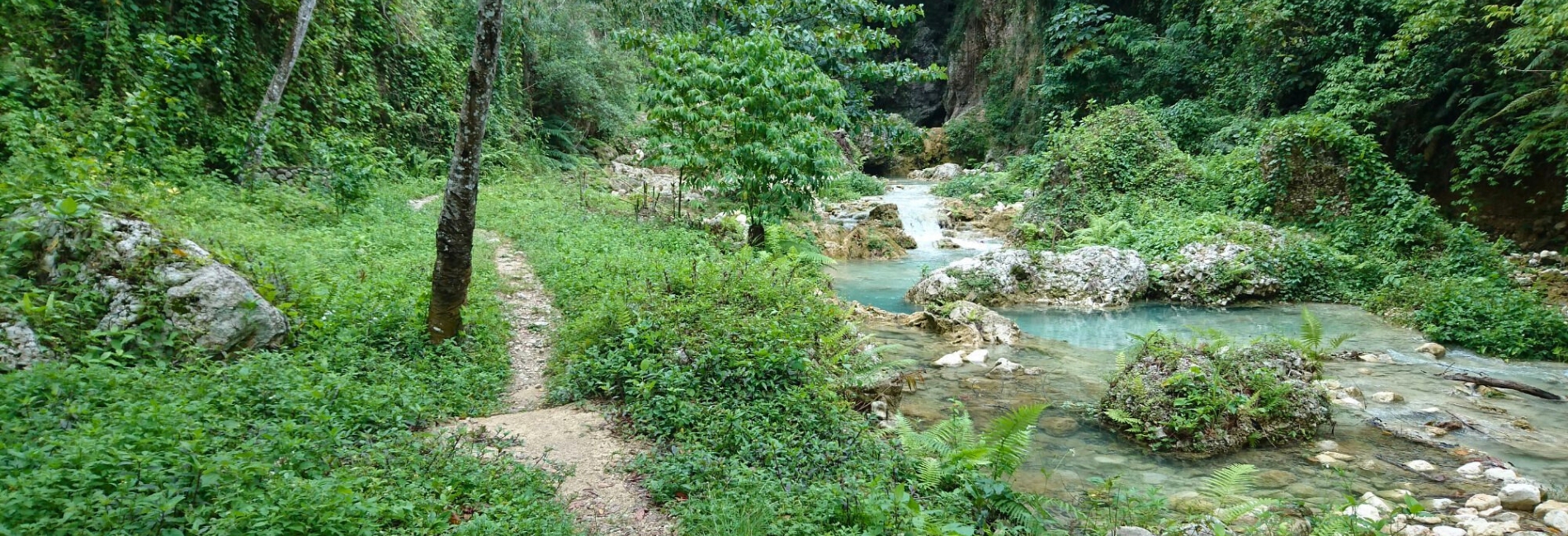 Sierra de Bahoruco National Park Visitors Guide