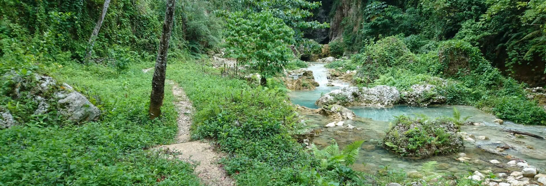 Turquoise river flowing through lush green canyon in Sierra de Bahoruco National Park