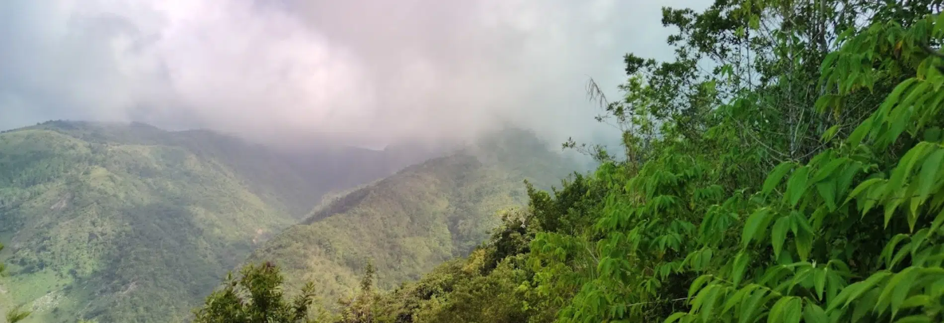 Mountain trail in Sierra de Bahoruco National Park