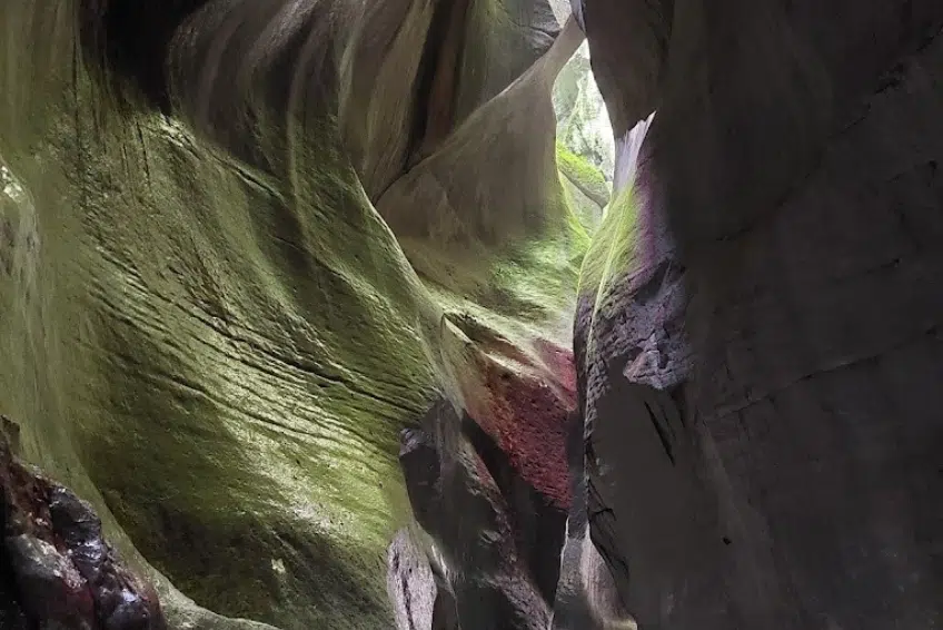 Narrow moss-covered rock canyon leading to swimming hole