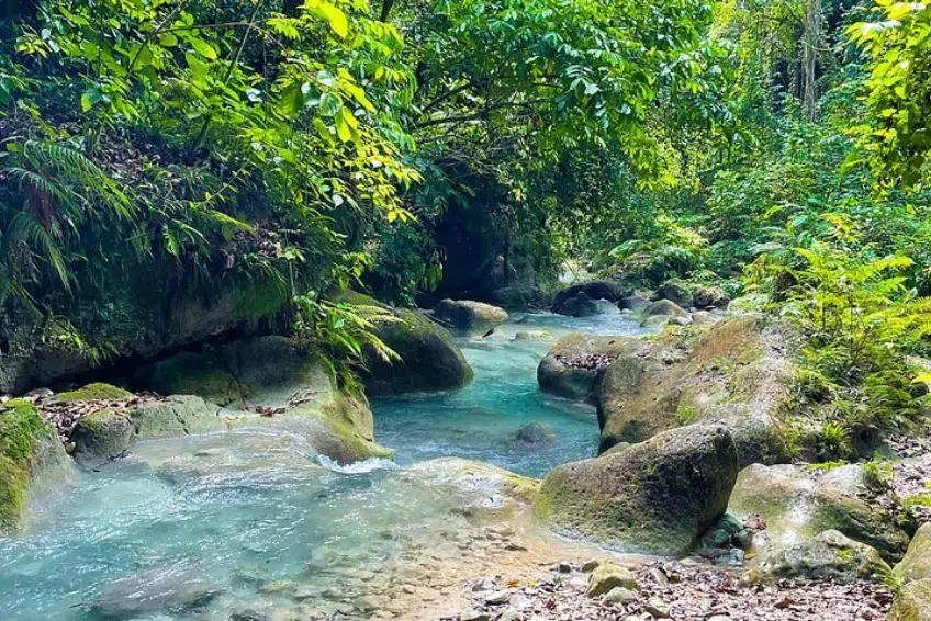 Clear turquoise stream flowing between mossy boulders