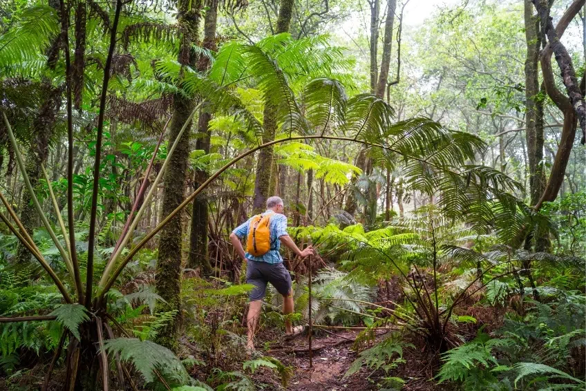 Sierra de Bahoruco National Park Visitors Guide