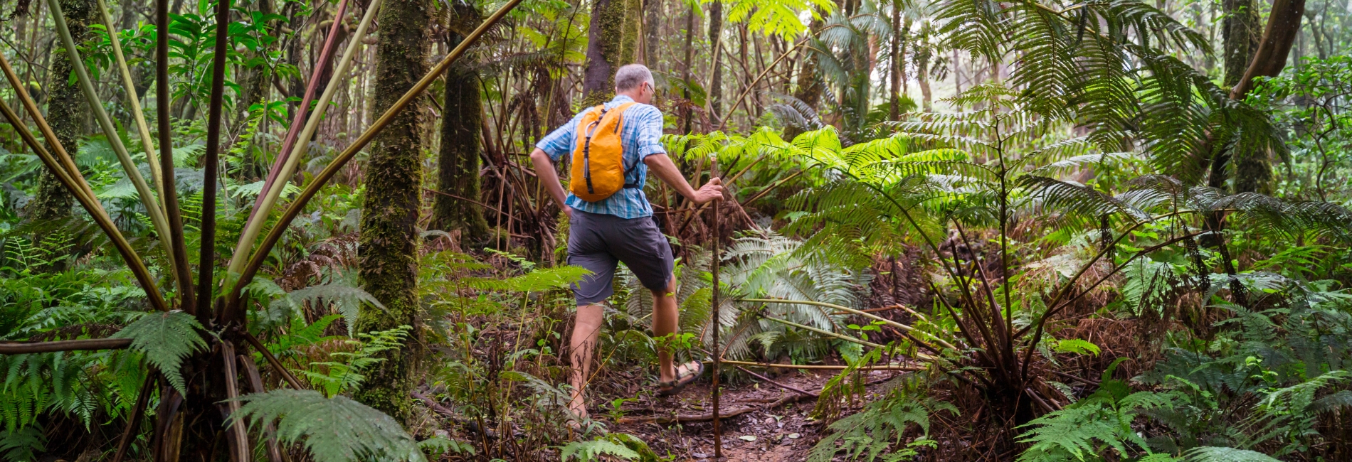 Sierra de Bahoruco National Park Visitors Guide