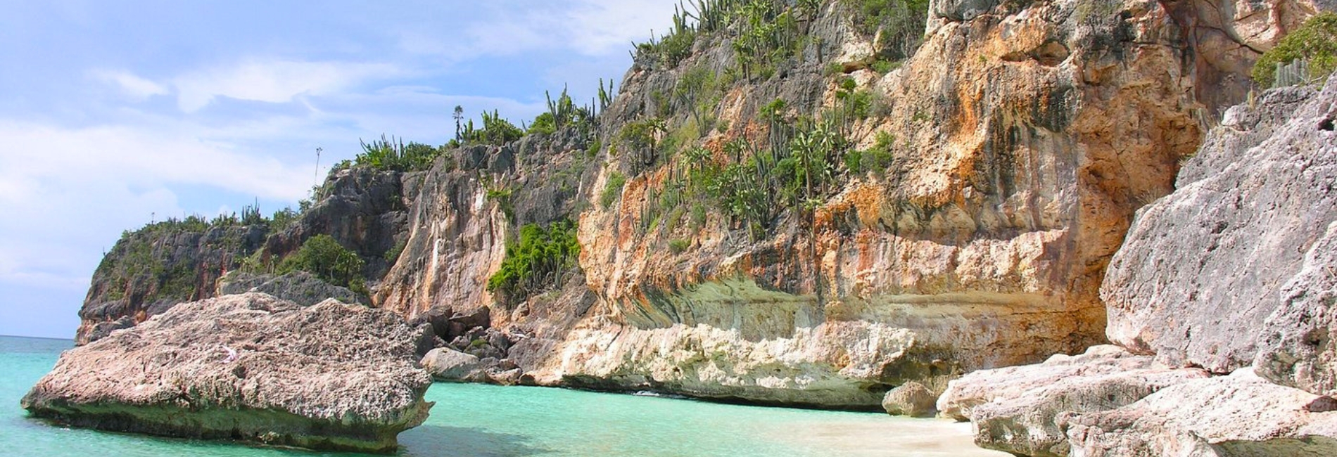 Rocky limestone cliffs with cacti overlooking clear turquoise water in Cabo Rojo