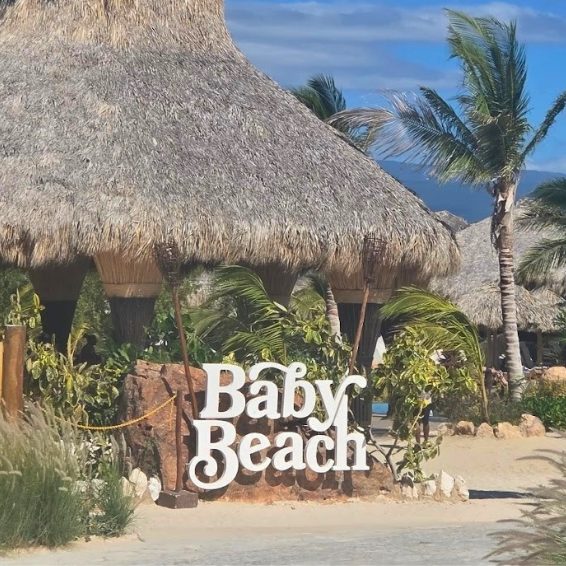 Baby Beach sign with thatched palapa and palm trees
