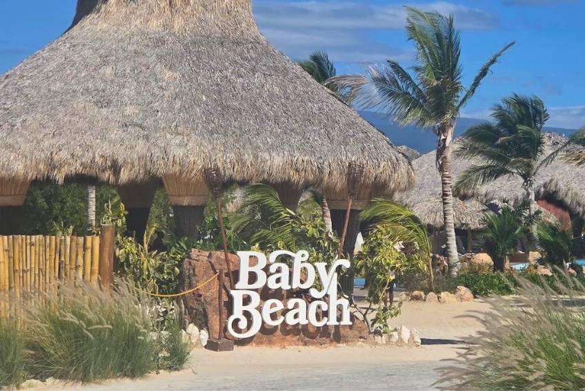 Baby Beach sign with thatched palapa and palm trees