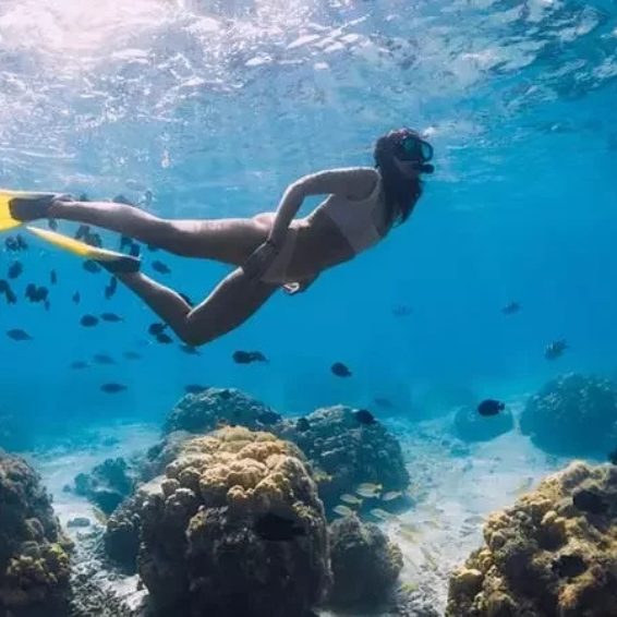 Snorkeler exploring coral reef with tropical fish underwater