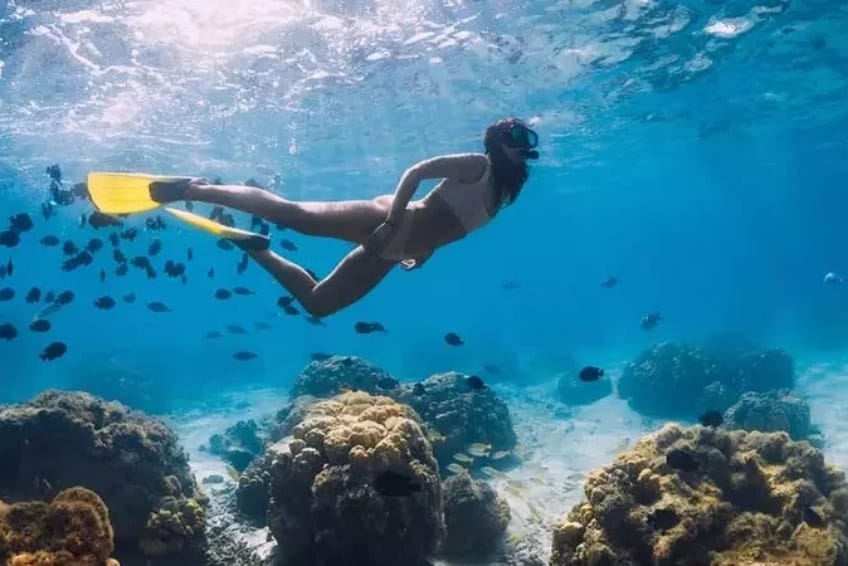 Snorkeler exploring coral reef with tropical fish underwater
