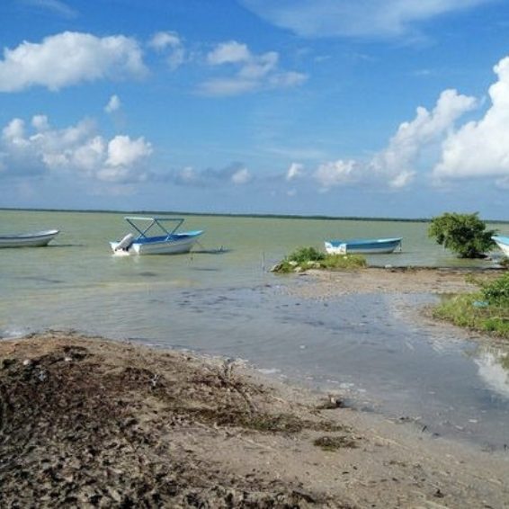 Small boats anchored along Laguna de Oviedo shoreline